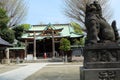 Miko working at Ushima Shrine in Tokyo, near Sumida River Royalty Free Stock Photo